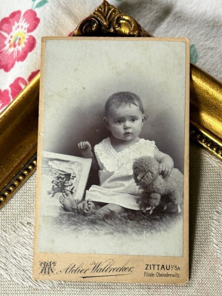 画像3: Vintage carte de visite　アンティーク　ミニ肖像写真　羊のぬいぐるみと絵本と赤ちゃん　ドイツ (3)