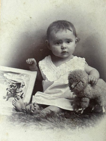 画像2: Vintage carte de visite　アンティーク　ミニ肖像写真　羊のぬいぐるみと絵本と赤ちゃん　ドイツ (2)