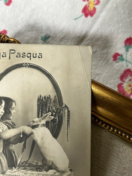 画像3: Postcard　アンティークポストカード　ウサギと女の子　うさぎ　兎　鏡　写真　スイス1916年 (3)