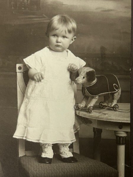 画像3: Vintage carte de visite　アンティーク　ミニ肖像写真　女の子とおもちゃ　犬のプルトイ　ハンブルグ　ドイツ　 (3)