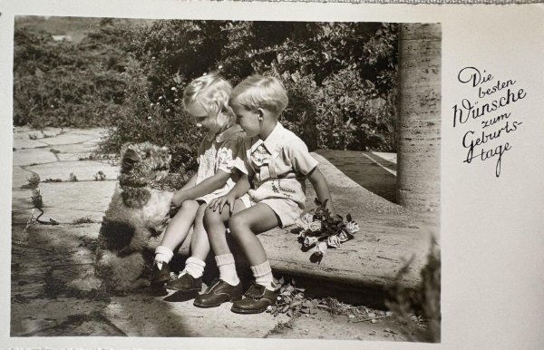 画像1: Postcard　アンティークポストカード　子どもたちと犬　ワイヤーフォックステリア　スイス　写真　1953年 (1)