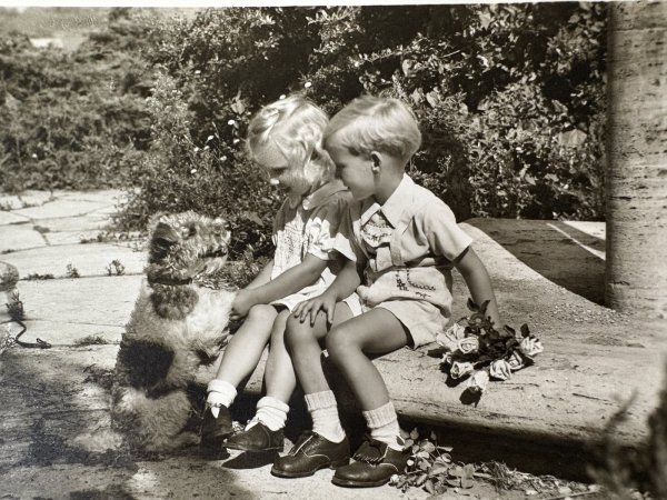 画像3: Postcard アンティークポストカード 子どもたちと犬 ワイヤーフォックステリア スイス 写真 1953年 (3)