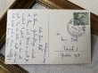 画像4: Postcard　アンティークポストカード　子どもたちと犬　ワイヤーフォックステリア　スイス　写真　1953年 (4)