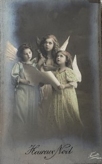 Snowdrop Postcards アンティークポストカード専門店 <Photo Angel>