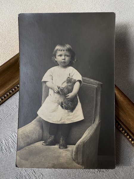 画像2: Postcard アンティークポストカード クマのプルトイ女の子 テディベア ぬいぐるみ ドイツ 肖像写真 (未使用) (2)