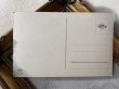 画像3: Postcard　アンティークポストカード　犬のぬいぐるみと女の子　テリア　木馬のプルトイ　ドイツ（未使用） (3)