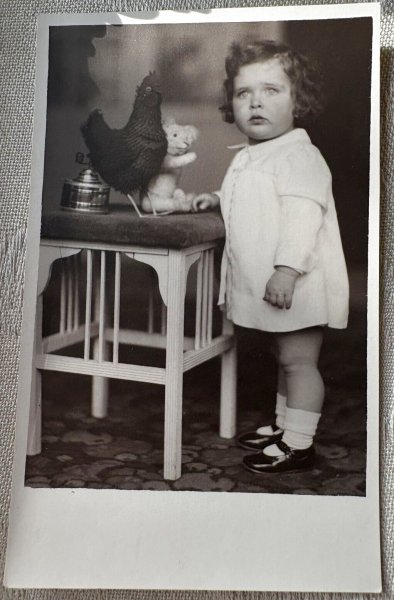 画像1: Postcard　アンティークポストカード　クマのプルトイ女の子　ニワトリ　テディベア　ぬいぐるみ　ドイツ　肖像写真　（未使用） (1)