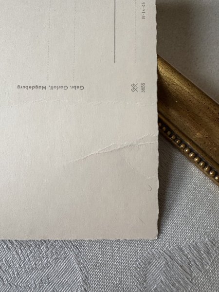 画像3: Postcard　アンティークポストカード　お人形さんと女の子　写真　（未使用） (3)