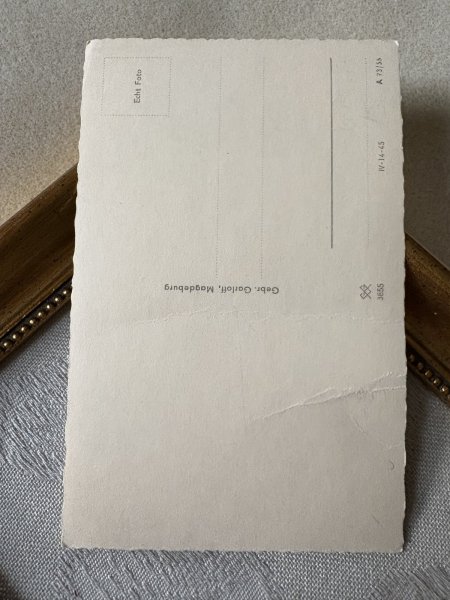 画像4: Postcard　アンティークポストカード　お人形さんと女の子　写真　（未使用） (4)