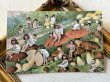 画像2: Postcard　アンティークポストカード　キノコと子どもたち　フランス (2)
