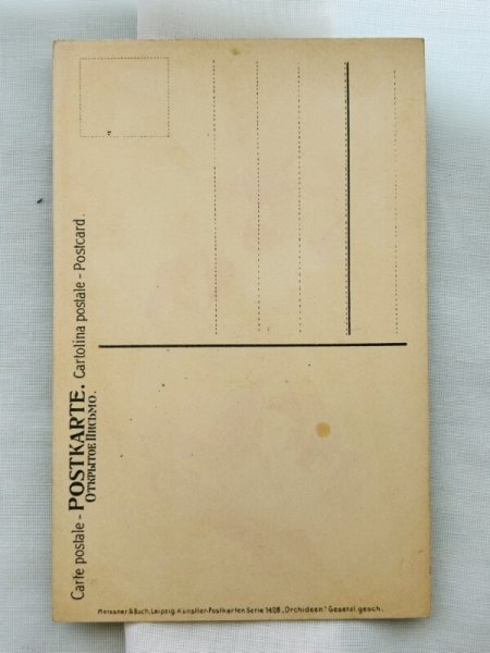 画像3: Postcard アンティークポストカード カトレアのお花 Catherine Klein (未使用) (3)