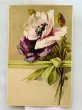 画像1: Postcard　アンティークポストカード　アネモネのお花　Catherine Klein （未使用） (1)