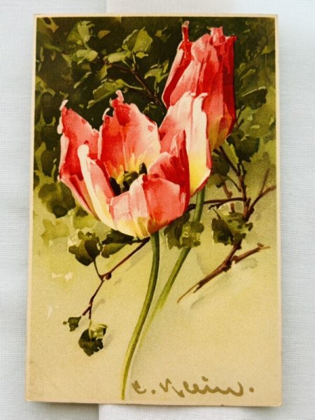 画像1: Postcard　アンティークポストカード　チューリップのお花　Catherine Klein　（未使用） (1)