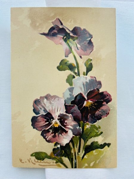 画像1: Postcard　アンティークポストカード　パンジーのお花　Catherine Klein （未使用） (1)