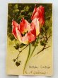 画像1: Postcard　アンティークポストカード　チューリップのお花　Catherine Klein　1911年 (1)