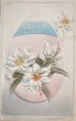 画像1: Postcard　アンティークポストカード　イースター　ピンク色の卵と白百合のお花 (1)