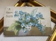 画像2: Postcard　アンティークポストカード　イースター　忘れな草のお花 (2)