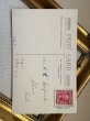 画像4: Postcard　アンティークポストカード　忘れな草のお花　シルク貼り (4)
