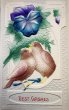 画像1: Postcard　アンティークポストカード　スミレのお花と2羽の鳥　エンボス (1)