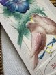 画像3: Postcard　アンティークポストカード　スミレのお花と2羽の鳥　エンボス (3)