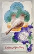 画像1: Postcard　アンティークポストカード　スミレのお花と2羽の鳥　エンボス (1)
