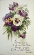 画像1: Postcard　アンティークポストカード　パンジーのお花　フランス　（未使用） (1)