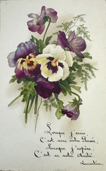 画像1: Postcard　アンティークポストカード　パンジーのお花　フランス　（未使用） (1)