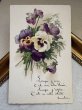 画像2: Postcard　アンティークポストカード　パンジーのお花　フランス　（未使用） (2)