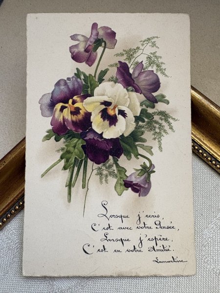 画像2: Postcard　アンティークポストカード　パンジーのお花　フランス　（未使用） (2)