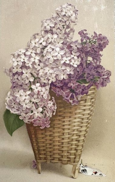画像1: Postcard　アンティークポストカード　ライラックのお花かご (1)