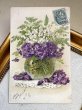 画像2: Postcard　アンティークポストカード　スズランとスミレのお花　花瓶　フランス1908年 (2)