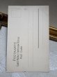 画像3: Postcard　アンティークポストカード　スミレのお花かご　パニエ　リボン　（未使用） (3)