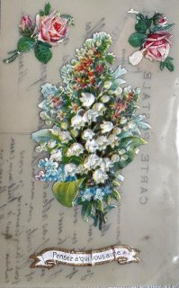 Snowdrop Postcards アンティークポストカード専門店 < Lily of the