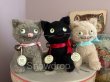 他のぬいぐるみとの比較写真です。真ん中の黒い猫が販売個体です。