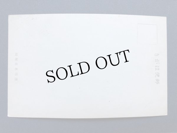 画像2: 古絵葉書　名古屋城 (2)