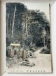 画像1: Postcard  手彩色絵葉書　摂津有馬鳥地獄（明治　大正　戦前）未使用 (1)