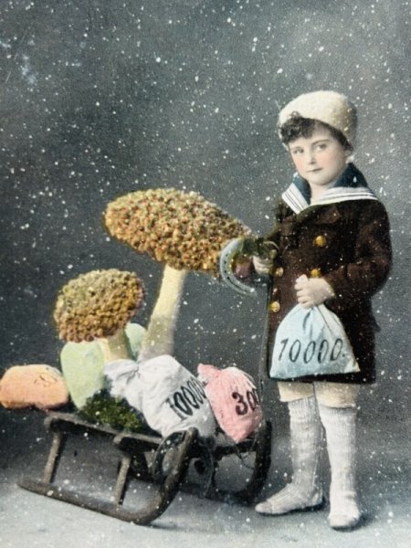 画像2: Postcard　アンティークポストカード　新年　New Year　キノコと男の子 (2)