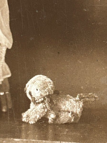 画像3: Postcard　アンティークポストカード　グラディス・クーパー　イギリス女優　Eincoタビー犬 (3)