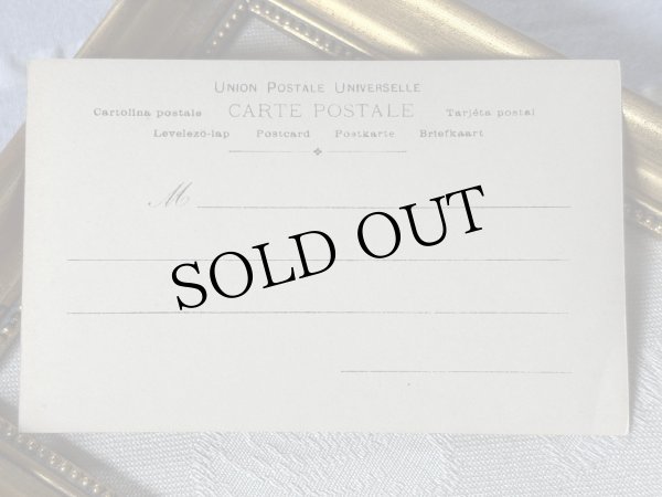 画像3: Postcard　アンティークポストカード　フランス女優　ロビン　Robinne ヴェール　ルートランジェ　写真　（未使用） (3)