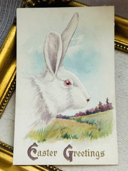 画像2: Postcard　アンティークポストカード　イースター 　白うさぎ　1923年 (2)