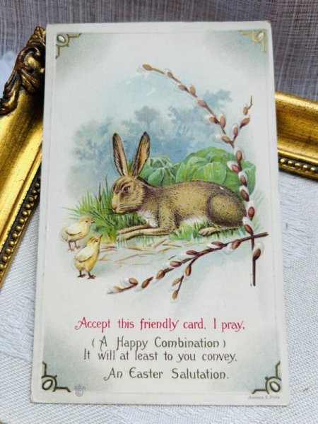 画像2: Postcard アンティークポストカード イースター  キャベツ畑のウサギとヒヨコ ネコヤナギ  (2)