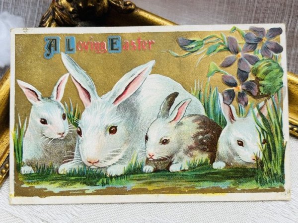 画像2: Postcard アンティークポストカード イースター  ウサギの家族  (2)