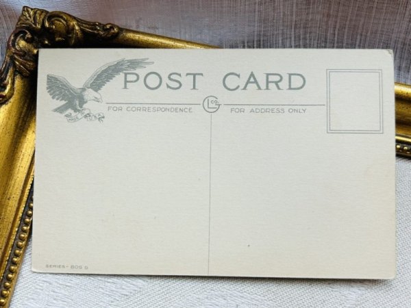 画像3: Postcard アンティークポストカード イースター  ウサギ ヒヨコ 卵 アメリカ (未使用) (3)