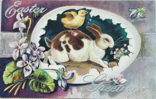 Snowdrop Postcards アンティークポストカード専門店 < Rabbit > Snowdrop Postcards アンティークポストカード専門店 < Rabbit >