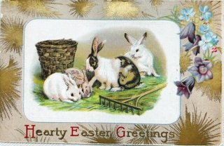 Snowdrop Postcards アンティークポストカード専門店 < Rabbit >