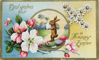 Snowdrop Postcards アンティークポストカード専門店 < Rabbit >
