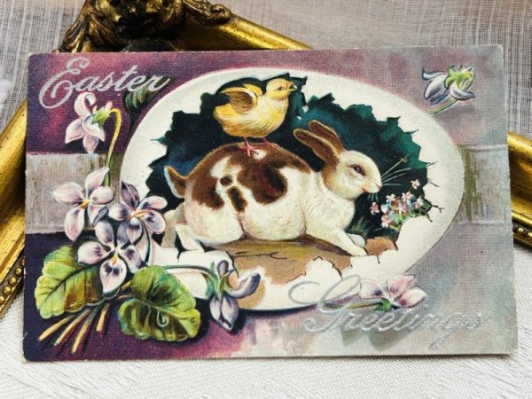 画像2: Postcard アンティークポストカード イースター  ウサギとヒヨコ 大きな卵 スミレ (2)