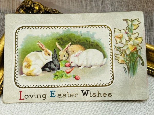 画像2: Postcard アンティークポストカード イースター  人参とウサギ 水仙 (2)