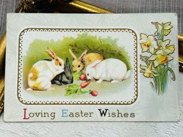 画像2: Postcard アンティークポストカード イースター  人参とウサギ 水仙 (2)