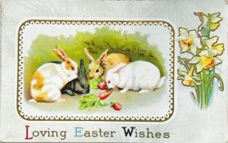 Snowdrop Postcards アンティークポストカード専門店 < Rabbit >